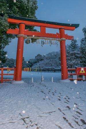 上賀茂神社～雪景色 - 鏡花水月