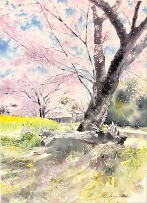 桜の木の木陰で・・ - 青山一樹 水彩画のひととき