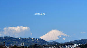 この日は‥‥ 『自宅から90km先の富士2024』⑭ - 写愛館