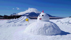 令和6年2月の富士　番外編　富士山の日 - 富士への散歩道　～撮影記～