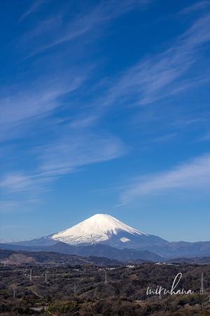 ２２３＊富士山の日。 - MIRU'S PHOTO