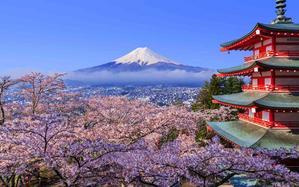 Japan in Cherry Blossom Season - 