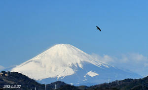 この日は…… 『自宅から90km先の富士2024』⑰ - 写愛館