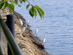 高師浜（たかしのはま）散歩写真 - 