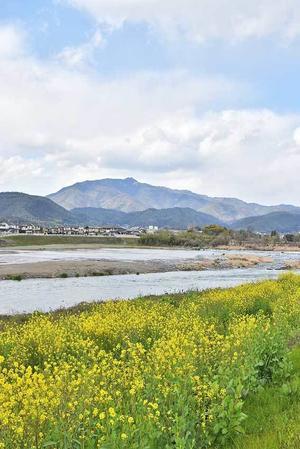  - アオリイカ釣行紀～京のひとりごと～