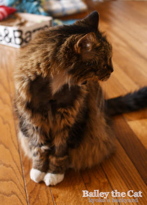 喉下の毛がない利点 - Kyoko's Backyard　～アメリカで田舎暮らし～