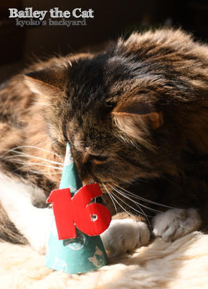 16歳、おめでとう！ - Kyoko's Backyard　～アメリカで田舎暮らし～