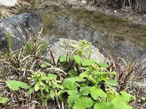  - 南の魚座 福岡短歌日乗