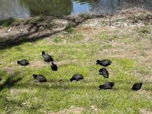  - 福島県南会津での山暮らしと制作