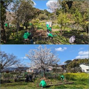 「ゆづるはの会」３月活動日。 - そうだ！山に登ろう