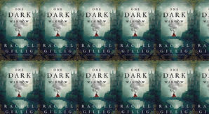 Reas [PDF] Book One Dark Window (The Shepherd King, #1) by Rachel Gillig - 