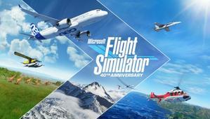 Microsoft Flight Simulator - 