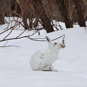 いい物見~つけた(^^♪ - 