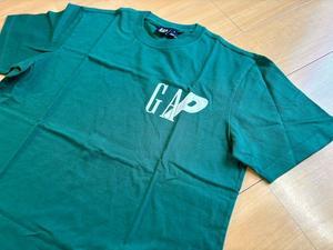 Palace Gap T-shirt - Dear Accomplices