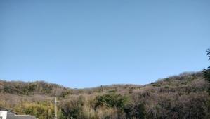 ３月３０日　M山　桜が咲き始めていた - 週末は山歩き