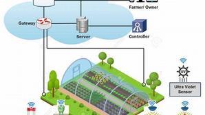 Harness the Power of Cloud-Based Precision Livestock Farming for Enhanced Efficiency - 