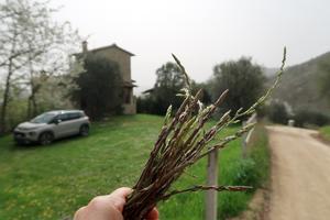 イタリア写真草子