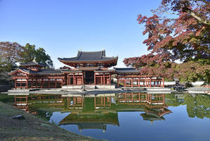 京都2024桜Ⅶ（実は桜はほぼありませんので、紅葉も一緒にね。） - バリ島大好き