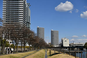 横浜ポートサイド公園にて - KONDOHの自由気まま Blog