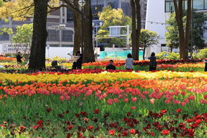 ガーデンネックレス横浜2024 #2 - natukari photo