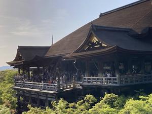 京都：清水寺と東寺のライトアップ - 
