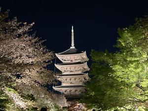 京都：清水寺と東寺のライトアップ - 