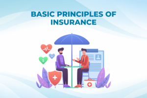 What are the Basic Principles of Insurance? - 