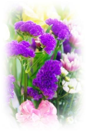 お花も紫を。 - 