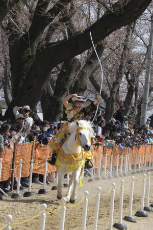 女性騎手の祭典　第21回桜流鏑馬 - 