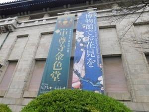番外編 東博｢中尊寺金色堂｣展と浅草の桜まで見たこと - 