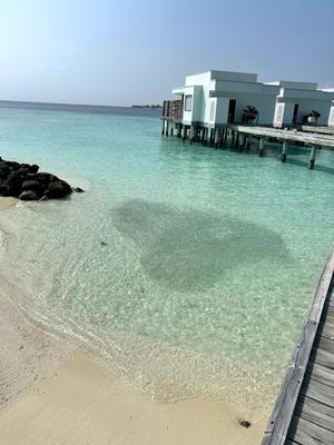 Maldives 2024　Dhigali ディガリ　その18　レストラン予約 - 