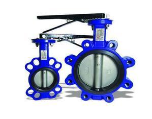 India’s Top Quality Butterfly Valves Supplier- Ridhiman Alloys - 