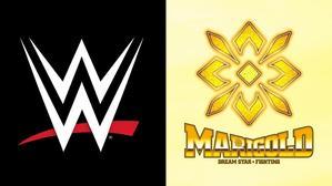 WWEとマリーゴールドの連携についての最新情報 - WWE LIVE HEADLINES
