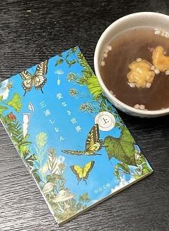 「愛なき世界」上 - Kyoto Corgi Cafe