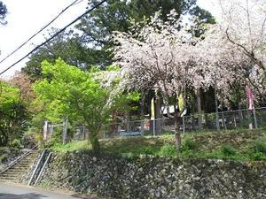 坂本八幡神社 - 