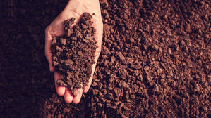 地球の驚異を発見：世界のトップ10土壌事実 - 