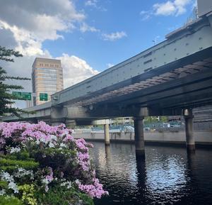 Strolling around 日本橋～京橋～銀座　ひとり歩き♪ - 