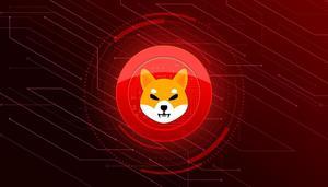 The Future of Shiba Inu Cryptocurrency: A Closer Look - 