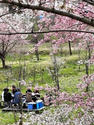 花見の宴 - 福島県南会津での山暮らしと制作