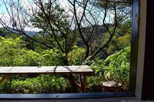 本部町伊豆味「藍風」木々の緑で癒されるカフェ空間 - 