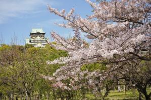 大阪城散歩　残り桜お追いかけて　4月12日撮影 - 