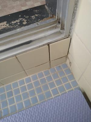 小工事　～　浴室タイル、戸袋、玄関ドアをまとめて補修　。 - 