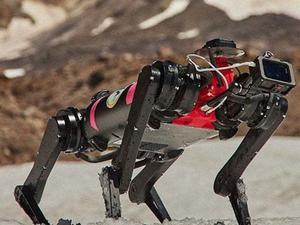 New inventions of Goldin and robotic dog - 