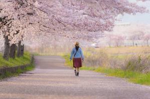 春の戸川公園 - 