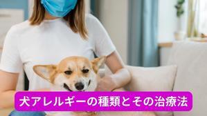 犬アレルギーの種類とその治療法 - 