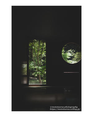 緑の効果 - ♉ mototaurus photography