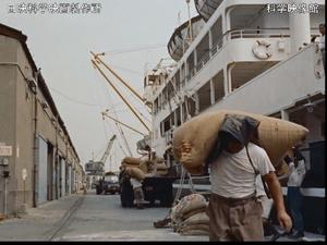 先行配信のお知らせ「港の手足」 - 久米さんの科学映像便り