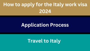 How to apply for the Italy work visa 2024 - 