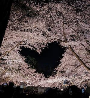 城と桜　の話 - つがる市地区の手話ブログ