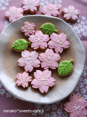 アイシングクッキーの桜 - 
